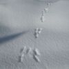 転倒リスクに注意!雪道が凍り付いたとき転ばないコツ