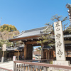 京都・宥清寺の桜
