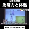 体温が３７度になれば白血球細胞から水素イオンが発せられる　大阪大学の発見