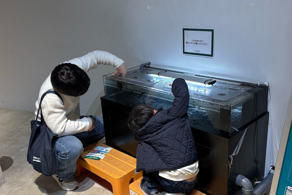 【川崎水族館】魚に食べられる