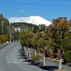 我が街から観る 富士山