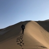 シルクロード名物？楼蘭からほど近いクムタグ砂漠へ旅してきた【新疆旅行記】