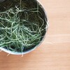 新しい仲間（植物）が増えました