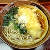 そば処 はるな（文京区本郷）のいか天そば