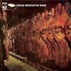 The Edgar Broughton Band『Edgar Broughton Band』('71)