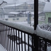 雪がここまで追いかけて来るとは（笑）