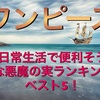日常生活で便利そうな悪魔の実ランキングベスト10！(ワンピース)