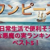 日常生活で便利そうな悪魔の実ランキングベスト10！(ワンピース)