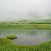 ◆'24/07/13　鳥海山・千畳ヶ原と笙ヶ岳へ⑤