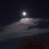 月が綺麗ですねの発言の主は夏目漱石ではない？！