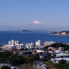 披露山公園からの富士山の絶景とお猿たち