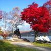 長野で紅葉でも眺めながら温泉に入りつつプログラミングでもやろうか