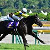 オークス馬ソウルスターリングは1枠1番/毎日王冠枠順