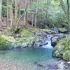 渓谷へきれいな水を見に行ってきた