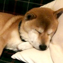 こちこち記