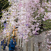 川上やすらい祭・川上大神宮社