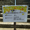 キッパリ･･･やっぱり･･･サッパリ･･･