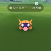 ポケモンGO! 自宅シェルダースポットライトアワー 自粛ポケ活で色違い爆引き！？