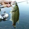 夏直前の湖北