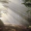 生活の変化で朝活が難しくなってきたけどどうするか考える