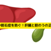 脂肪肝や胆石症を防ぐ！肝臓と胆のうの正しい理解