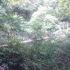 【高尾山】4号路登り～吊り橋ありの観光コース～