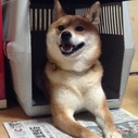 双極性障害とADHDの私が書く日々の日記