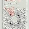  「シューマンにおける油絵風石版印刷調のものの混在」って何だろう？