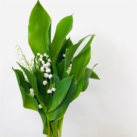 こんな時だからこそ あらためて知る白詰草 シロツメクサ の魅力とドライフラワー はなめも 花屋のメモ帳