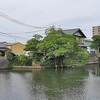 6月9日（金）街で見かけたスポーツマンと、夕食のシメサバ。