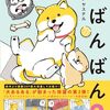 【書籍】オオゴシヤステル『しばんばん２』2024年4月18日発売！