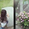いつかの風景　散歩