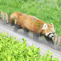 もちゃもちゃあんてな