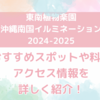 【東南植物楽園　沖縄南国イルミネーション2024ｰ2025】おすすめスポットや料金、アクセス情報を詳しく紹介！