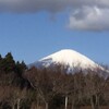 東京食べ歩き＆高尾山登山