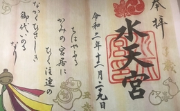 記事を見る