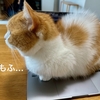 本日の仕事場はこちら。