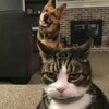 あぁ、私もそんな事あったな～σ(^◇^;)