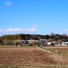 旧伊奈町の遺跡