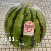 久々ロングジョグ