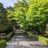 京都滞在中に「承天閣美術館」を鑑賞！/ Through my stay in Kyoto, enjoyed seeing the Jotenkaku Museum, which houses works by Jakuchu Ito, Okyo Maruyama, and Tohaku Hasegawa!