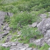 奥穂高岳周回～横尾山荘まで