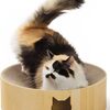 猫の爪とぎ救世主！最新アイテム3選でストレスフリーに🐾