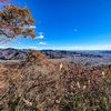 吾妻山登山競走と地方都市と価値創造