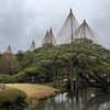 冬の風物詩「雪吊り」も素敵！加賀のお殿様の私庭【兼六園】土木水準の高さを知る！