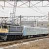 第2969列車　「　甲134 西武鉄道40000系(48152f)の甲種輸送を狙う　」