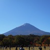 富士山麓で、紅葉ラン♪