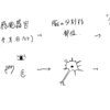 意識とは？ー妄想編⑴