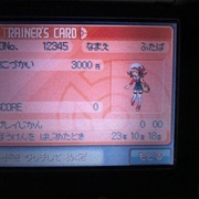 Hgss Id調整 臆病６v 菱形 Rpgしかできないゲーマーの末路