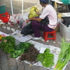 サンデーマーケット（SUNDAY MARKET）